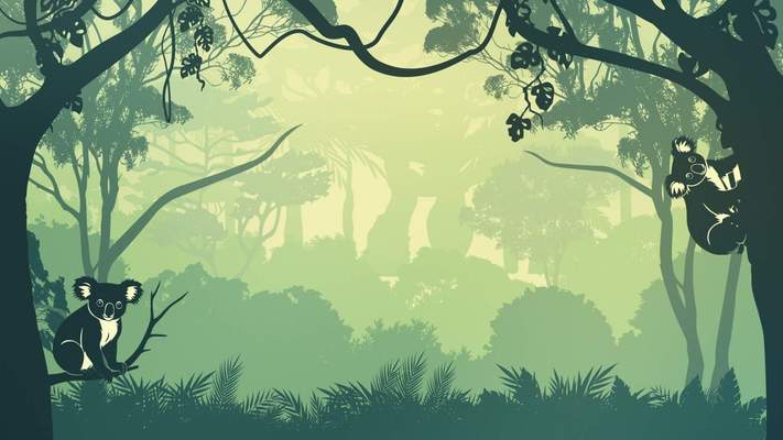 Plongez dans l'univers de Crunching Koalas 